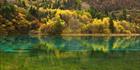 Jiuzhaigou National Park - China SQ (PBH4 00 15423)